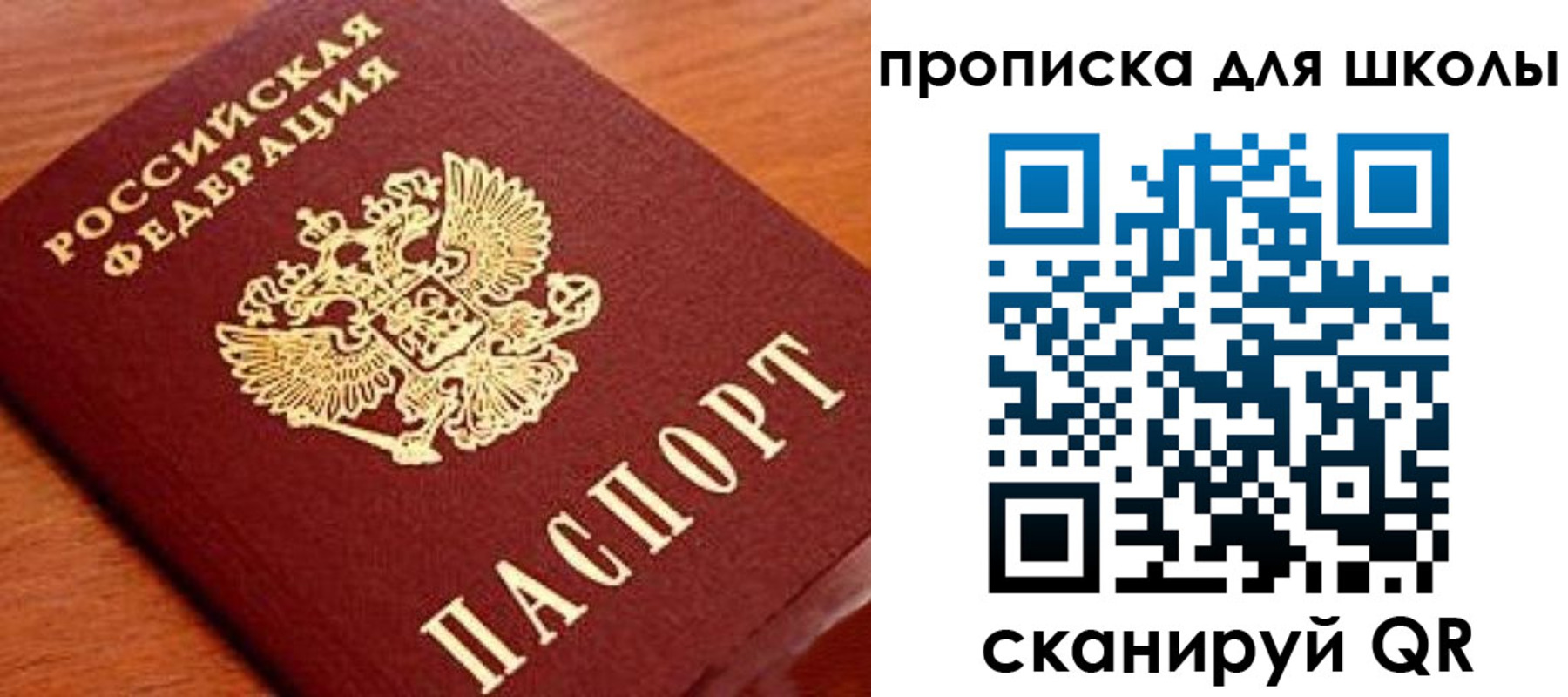временная регистрация для школы в Лосино-Петровском